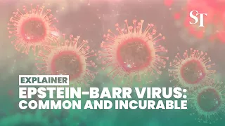 S’pore swimmer gets incurable viral infection: What is the Epstein-Barr virus?