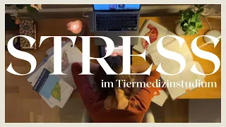 STRESS IM TIERMEDIZINSTUDIUM  🦘 | Was mir geholfen hat Stress zu MINIMIEREN – Time Blocking,Sport..