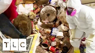 Rat Infested House Disgusts New Owners | Hoarding: Buried Alive