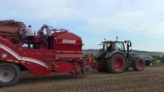 Kartoffeln roden - Fendt 515C, 720, 936 - Grimme SE 150-60