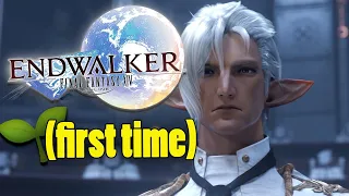 FFXIV ENDWALKER MSQ Continues! - Dawntrail Catch-Up!