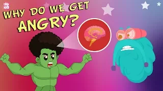 Why Do We Get Angry? | The Dr. Binocs Show | Best Learning Videos For Kids | Peekaboo Kidz