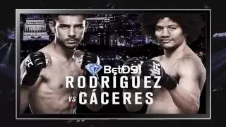 UFC Odds | Fight Night 92  Rodriguez vs Caceres Picks and Predictions