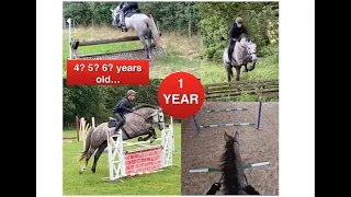 One Year with My Young Horse, Irish Draught — Showjumping, Cross-country, Trail Hunting | Equestrian