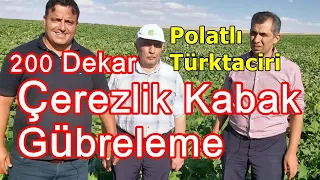 Çekirdeklik Kabak - Çerezlik Kabak Çekirdeği Yetiştiriciliği - Topraktan Ve Yapraktan Gübreleme