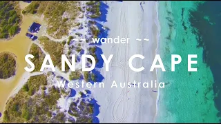 Why Does Everyone Like Camping at Sandy Cape WA? Turquoise Coast Episode: 1/3
