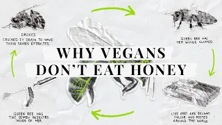 Why don't vegans eat honey?