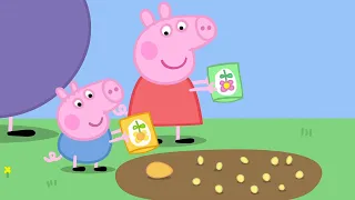 Kids First - Peppa Pig en Español - Nuevo Episodio 5x12 - Español Latino