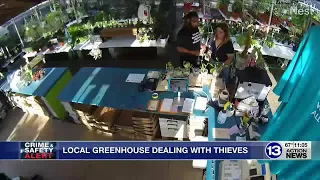 Local greenhouse working to identify plant thieves