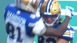 Winnipeg Blue Bombers vs Saskatchewan Roughriders Week 13 Highlights | CFL 2022