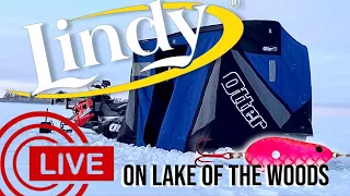 LINDY LIVE! Walleye fishing LIVE on Lake of the Woods