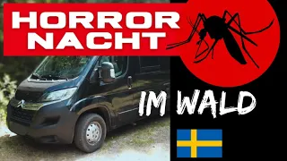 Ganze Nacht von Mücken im Camper attackiert! Vanlife Schweden #8