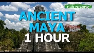 Exotic Ancient Rainforest Sounds - SOUND AMBIENCE FOR RELAXATION - TIKAL, GUATEMALA