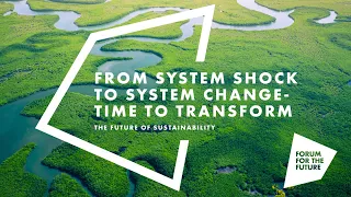 The Future of Sustainability