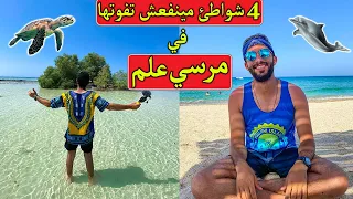 احلي 4 شواطئ في مرسي علم (مينفعش تفوتهم) | Marsa Alam