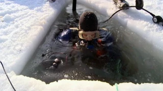 Tough winter for P.E.I. oyster harvest