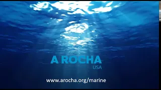 A Rocha - Marine Conservation Work in Florida