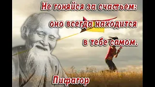 Каждое слово - ЗОЛОТО! Ничего лишнего, настолько мудро! Цитаты о счастье!