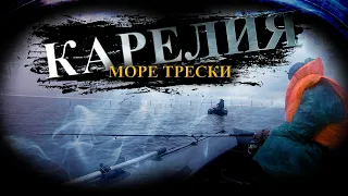 КАРЕЛИЯ Белое море СУПЕР клев ТРЕСКИ || Вышли на рыбалку в Белое море || Руки устали таскать ТРЕСКУ