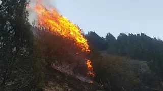 Суук кабар Алайда жер ортонду