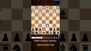 Ловушка! Гамбит Энглунда! Trap! Englund Gambit! #shorts #chess #шахматы #trap
