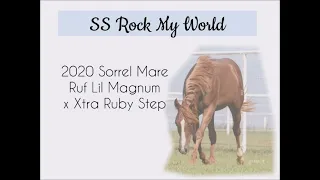 SS Rock My World- 2020 sorrel mare