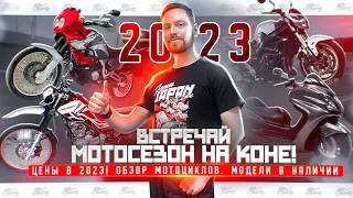 Обзор мото из Японии. Встречай мотосезон на коне! Цены в 2023!