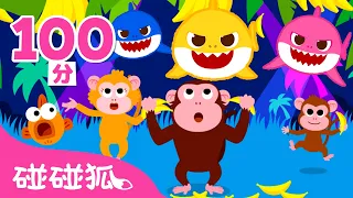 Baby Monkey Banana Faster  | 鯊魚一家 🦈 ＋更多 鯊魚寶寶 經典兒歌 連續播放 | 臺灣配音 中文 英文 | Baby Shark 碰碰狐 Pinkfong!