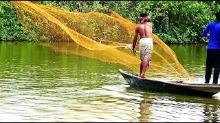 Best Cast Net Fishing।Big Fish Hunting By Cast Net।Net Fishing in Pond (part-113)