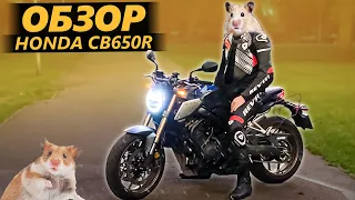 ОБЗОР Honda CB650R. Хомяковоз