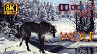 Wild WOLVES | Wolf 4K 8K Ultra HD 60 fps | Relaxing video | Relax Music