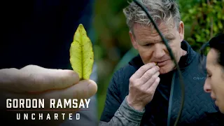 Gordon Ramsay Blown Away By Spicy Leaf | Gordon Ramsay: Uncharted