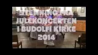 Julekoncert i Budolfi 2014