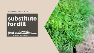 Substitute For Dill - 8 Alternatives to replace dill