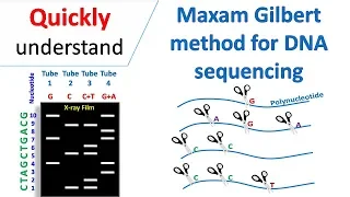 Maxam Gilbert sequencing