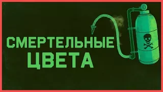 Edu: Смертельные цвета