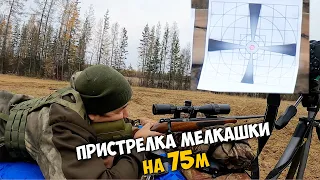 Пристрелял мелкашку на 75 метров. Патроны для охоты SK flatnose