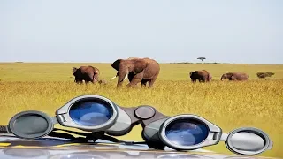 Best Binoculars For Safari Reviews [Latest Updated]