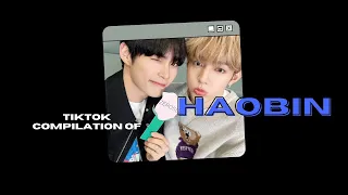 a haobin tiktok compilation because they're so back