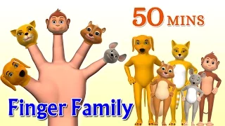 Animal Finger Family 2 - Finger Family Song - 3D Animation Nursery Rhymes & Songs for Children