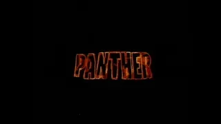 Panther (1995, trailer) [Kadeem Hardison, Bokeem Woodbine, Courtney B. Vance, Marcus Chong]