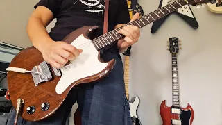 Iggy & The Stooges – "Search and Destroy" (guitar cover)