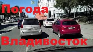 ПОГОДА ВЛАДИВОСТОК  ПОРАДОВАЛА _ ЖДЁМ ДОЖДИ !