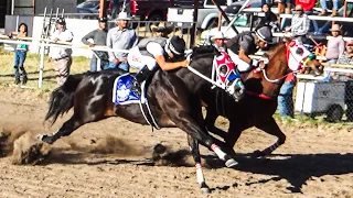 Maturity Jefe De Jefes | El Chipil Vs El Pino Real | Tapias Race Track, Durango Mex.