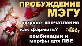 МЭГУ ПРОБУДА: Скилы, билды, комбы на фарм и первые впечатления - НЕ гайд в БДО (BDO - Black Desert)