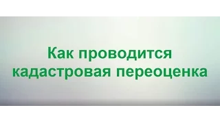 Как проводится кадастровая переоценка