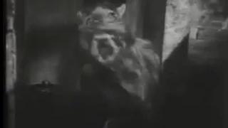 The Killer Shrews (1959) - A Shrew Bites Mario