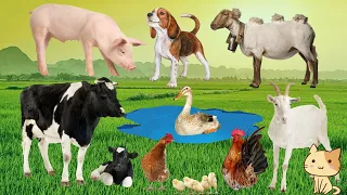 Farm animal sounds: cow, duck, chicken, sheep, goat, dog, cat - Part 14