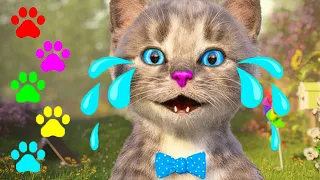 EDUCATIONAL LITTLE KITTEN ADVENTURE - CAT VIDEO AND KITTEN AT SCHOOL - VIDEO FOR TODDLERS