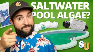 How to Remove ALGAE From a SALT WATER POOL | Swim University